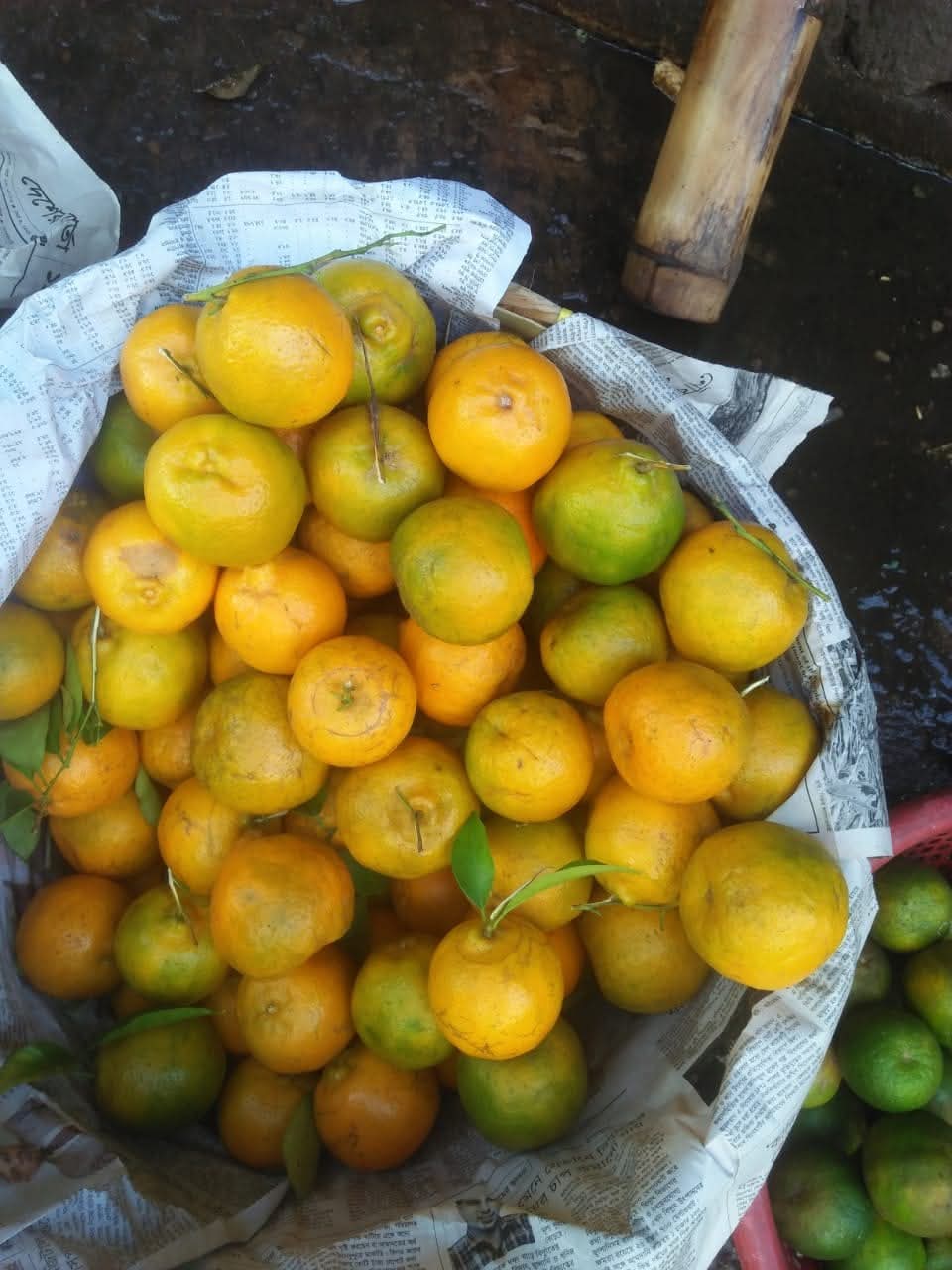 IMG-20250502-WA0008