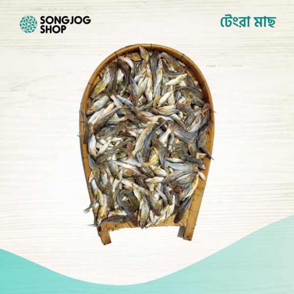 হাওরের টেংরা মাছ | দেশি টেংরা